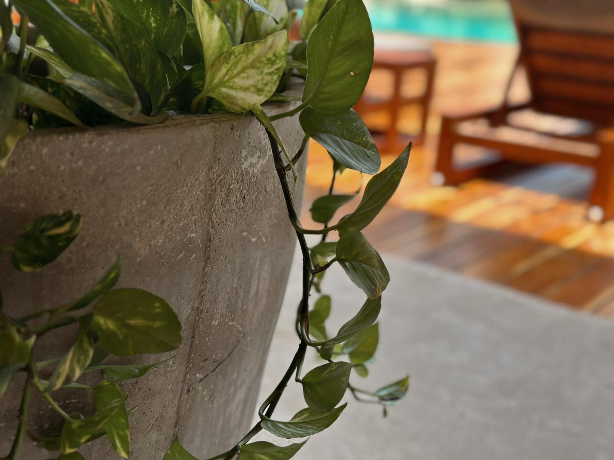Ophelia Tulum Condo In Aldea Zama Exterior photo