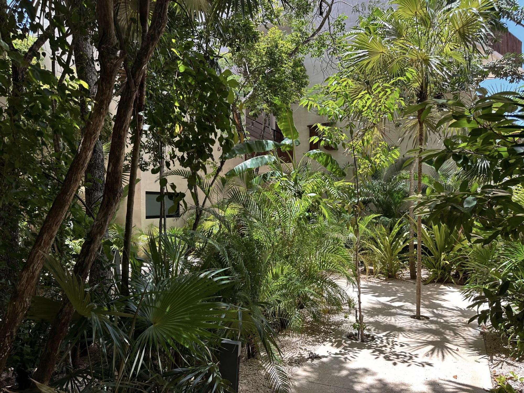 Ophelia Tulum Condo In Aldea Zama Exterior photo